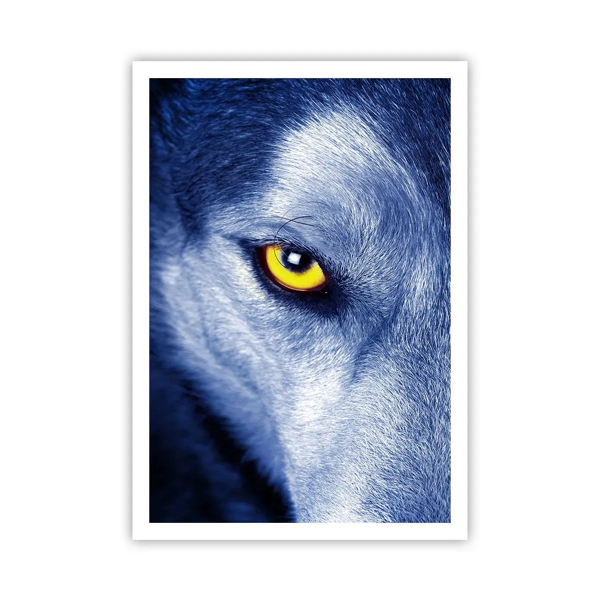 Plakat - Et hypnotiserende udseende - 70x100 cm