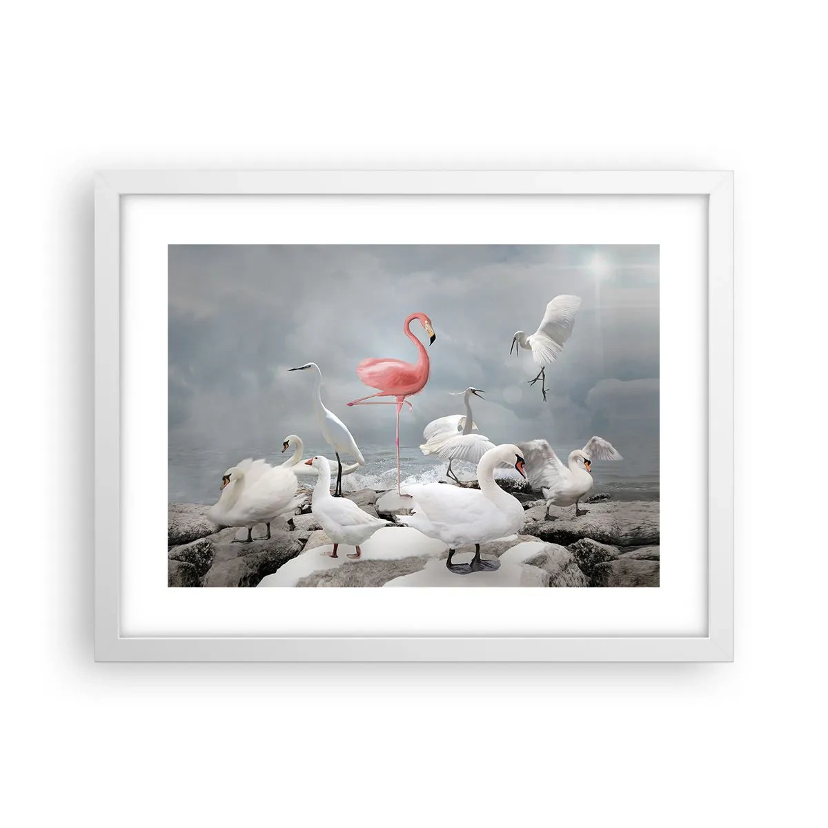 Plakat i hvid ramme - Hvor kommer jeg fra? - 40x30 cm