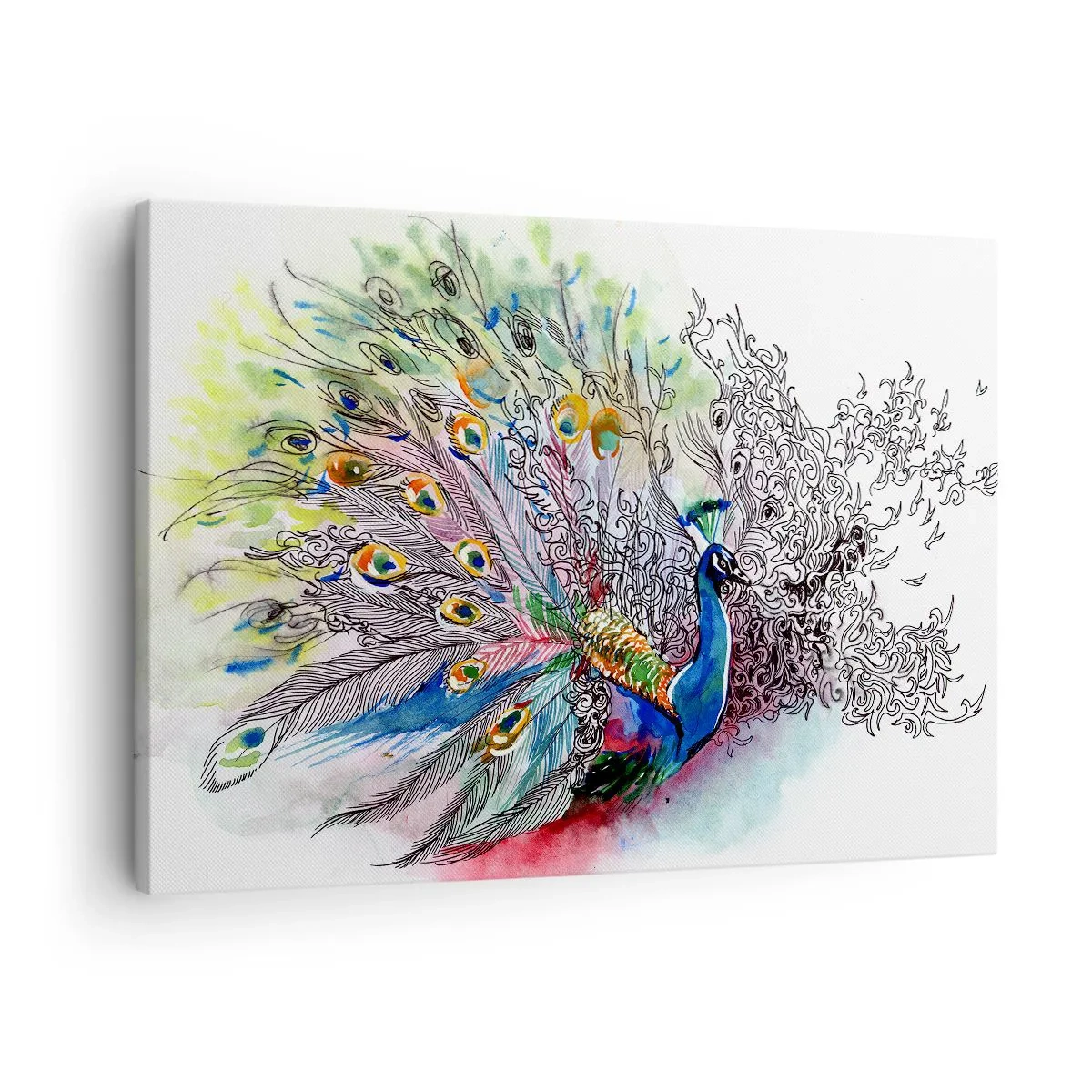 Lærredstryk - Billede på lærred - En påfugl i en farverig akvarelstil med abstrakte fjer - 70x50cm - Med stolthed mod grå  - Moderne vægdekoration til stue og soveværelse ARTTOR