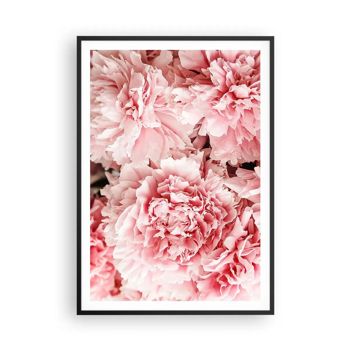 Plakat i sort ramme - Lyserød drøm - 70x100 cm