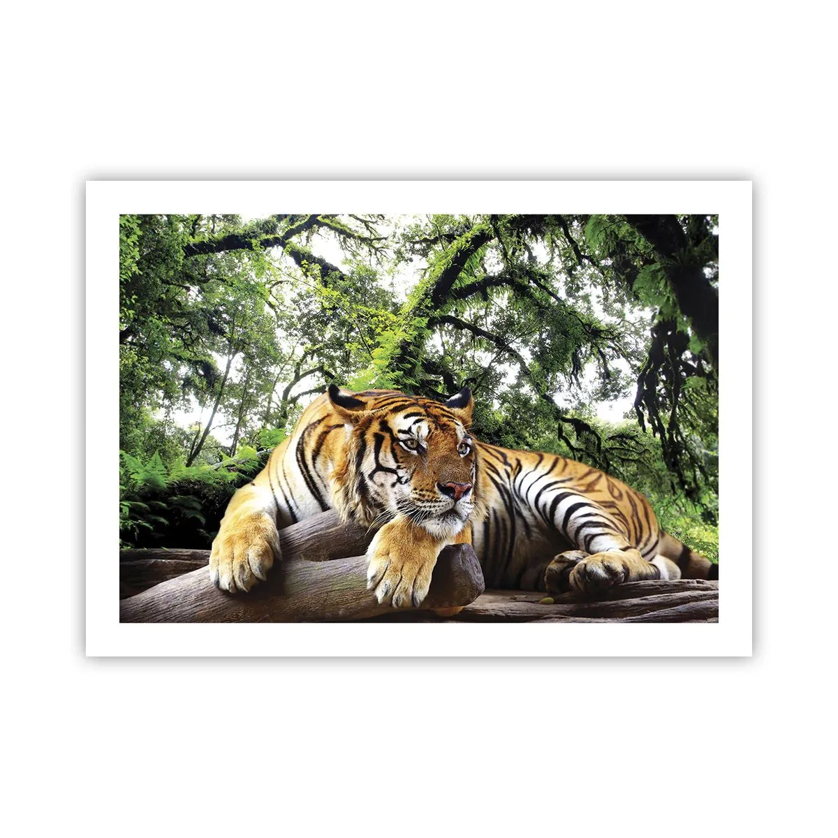 Plakat - Med venlig hilsen - 70x50 cm