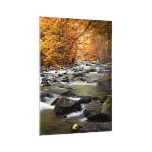 Billede på glas - Et vandløb i den gyldne skov - 70x100 cm