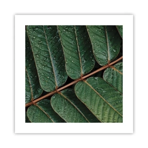 Plakat - I en grøn rytme - 40x40 cm