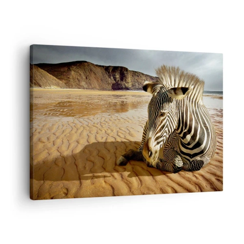 Lærredstryk - Billede på lærred - En zebra hviler på en sandstrand med klipper i baggrunden. - 70x50cm - Vi passer sammen - Moderne vægdekoration til stue og soveværelse ARTTOR