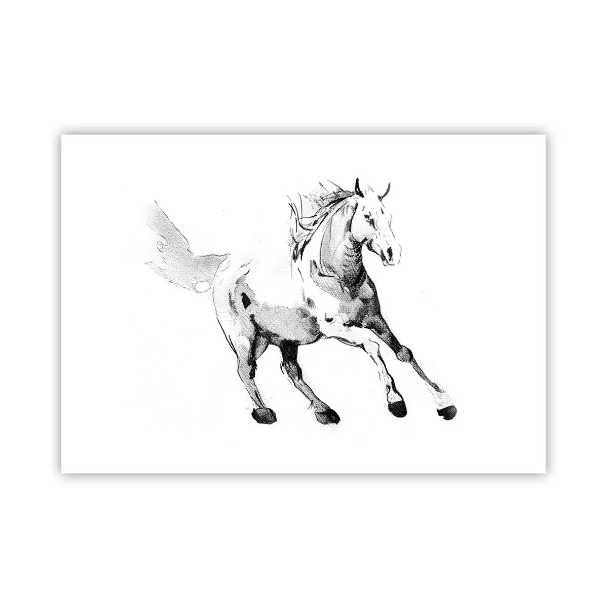 Plakat - Utæmmet sjæl - 100x70 cm