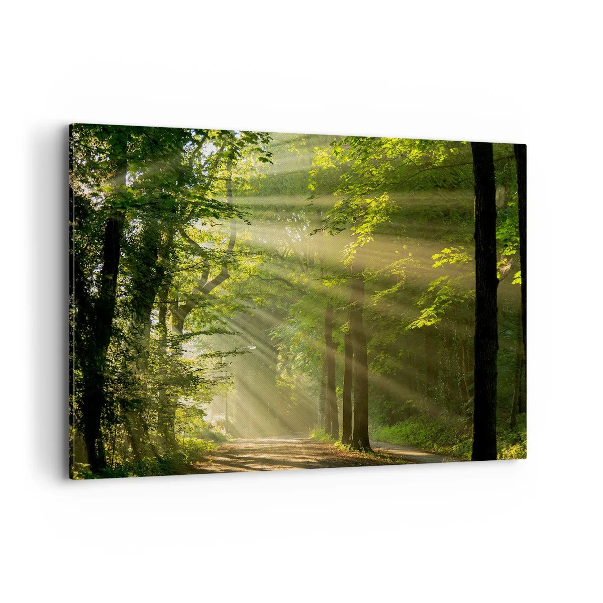 Lærredstryk - Billede på lærred - Øjeblik i skoven - 100x70 cm