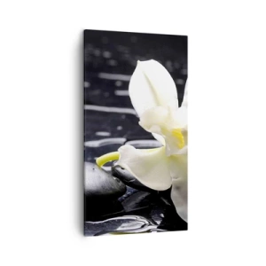 Lærredstryk - Billede på lærred - Studie i sort og hvidt - 45x80 cm