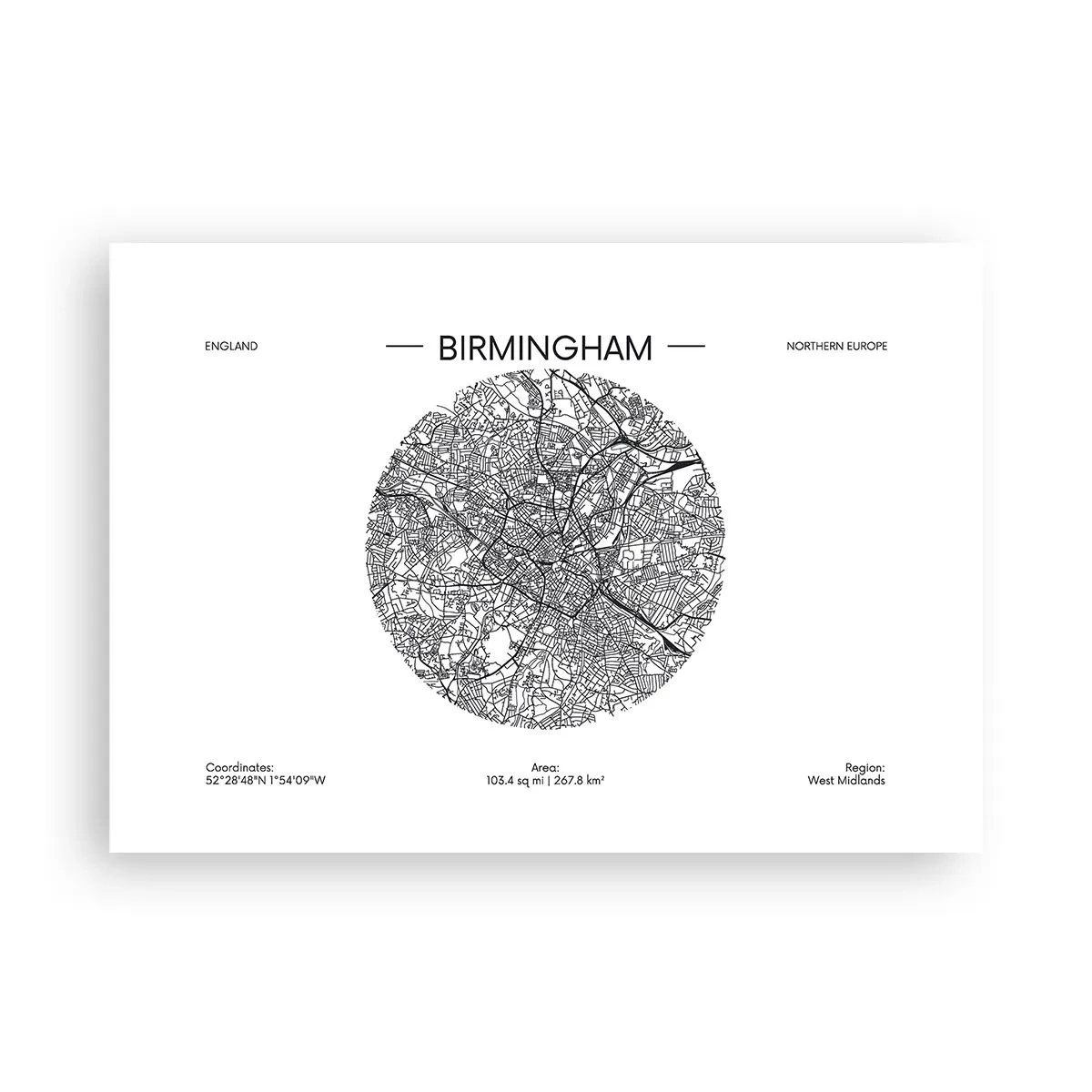 Plakat - Birminghams anatomi - 100x70 cm