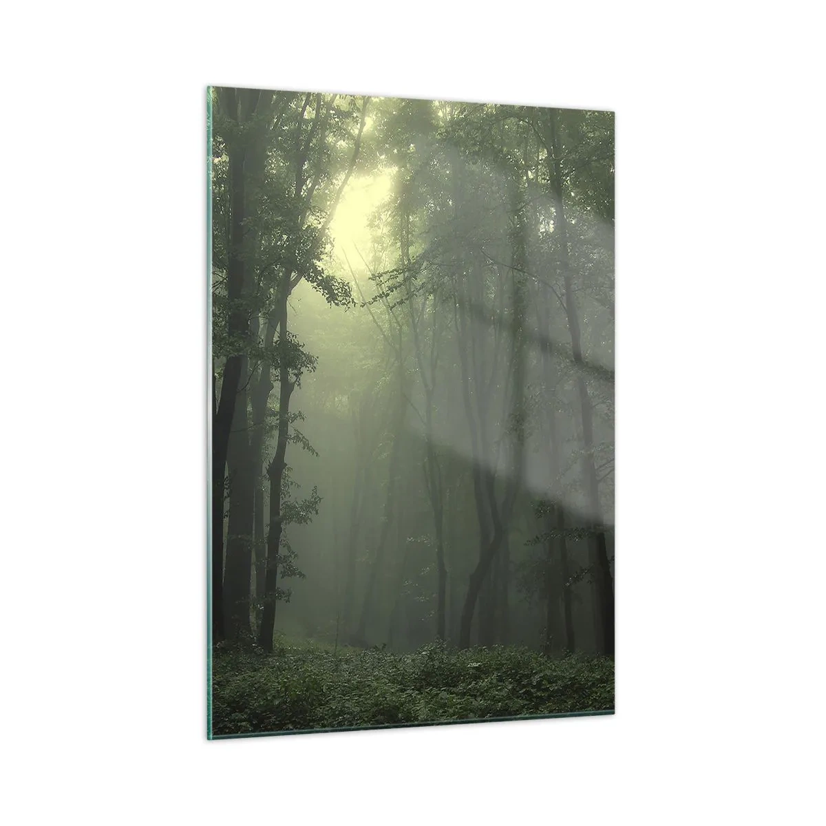 Billede på glas - Før han vågner op - 50x70 cm