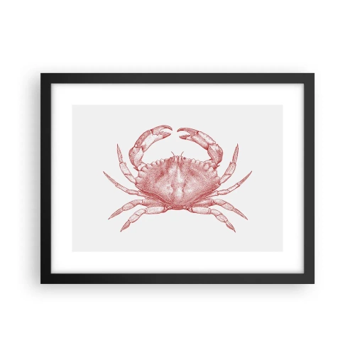 Plakat i sort ramme - Krabbe over krabber - 40x30 cm