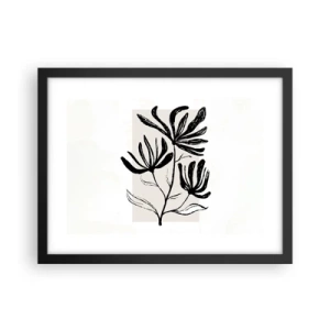 Plakat i sort ramme - Skitse til et herbarium - 40x30 cm