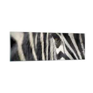 Billede på glas - Stribet portræt - 90x30 cm