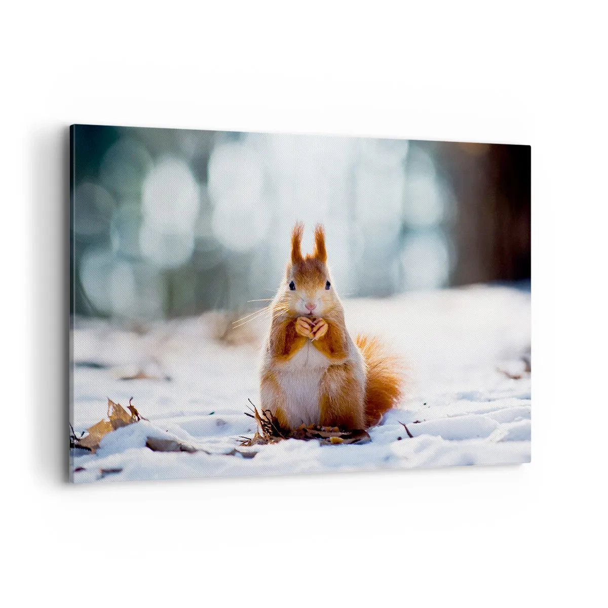 Lærredstryk - Billede på lærred - Og hvad kigger du på? - 100x70 cm