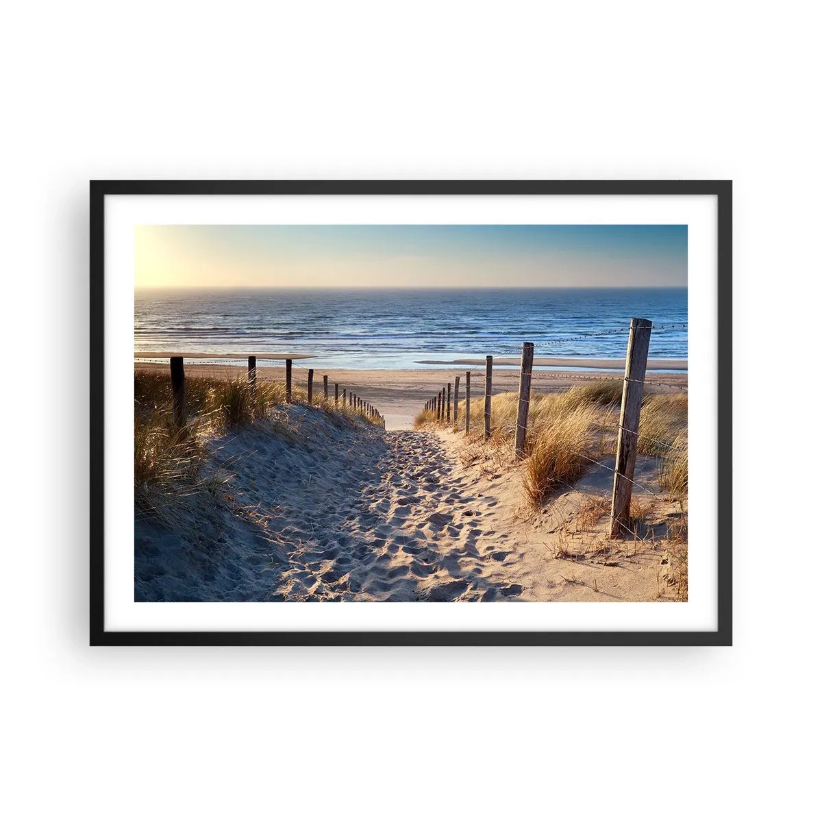 Plakat i sort ramme - Havet brummer, fuglene synger, en vild strand midt i græsset.... - 70x50 cm