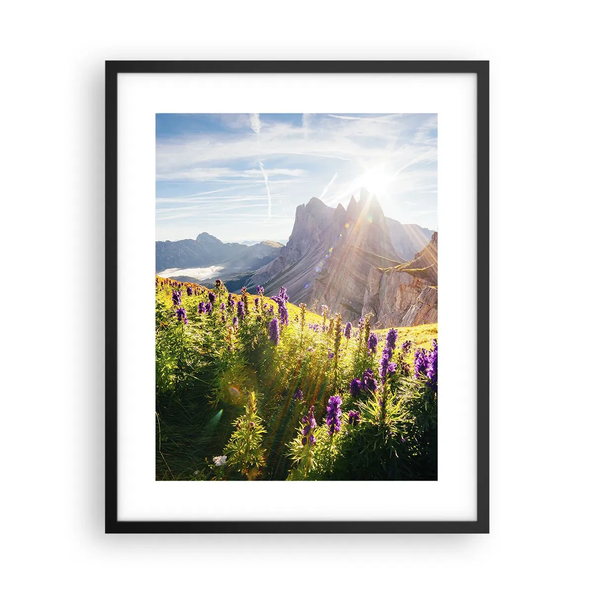 Plakat i sort ramme - Urternes hemmelige liv - 40x50 cm