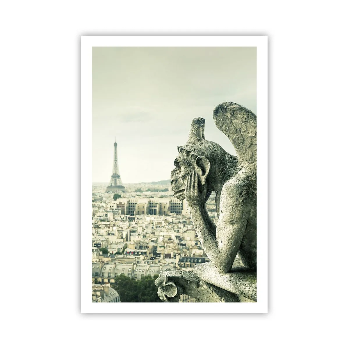 Plakat - Parisisk chat - 61x91 cm