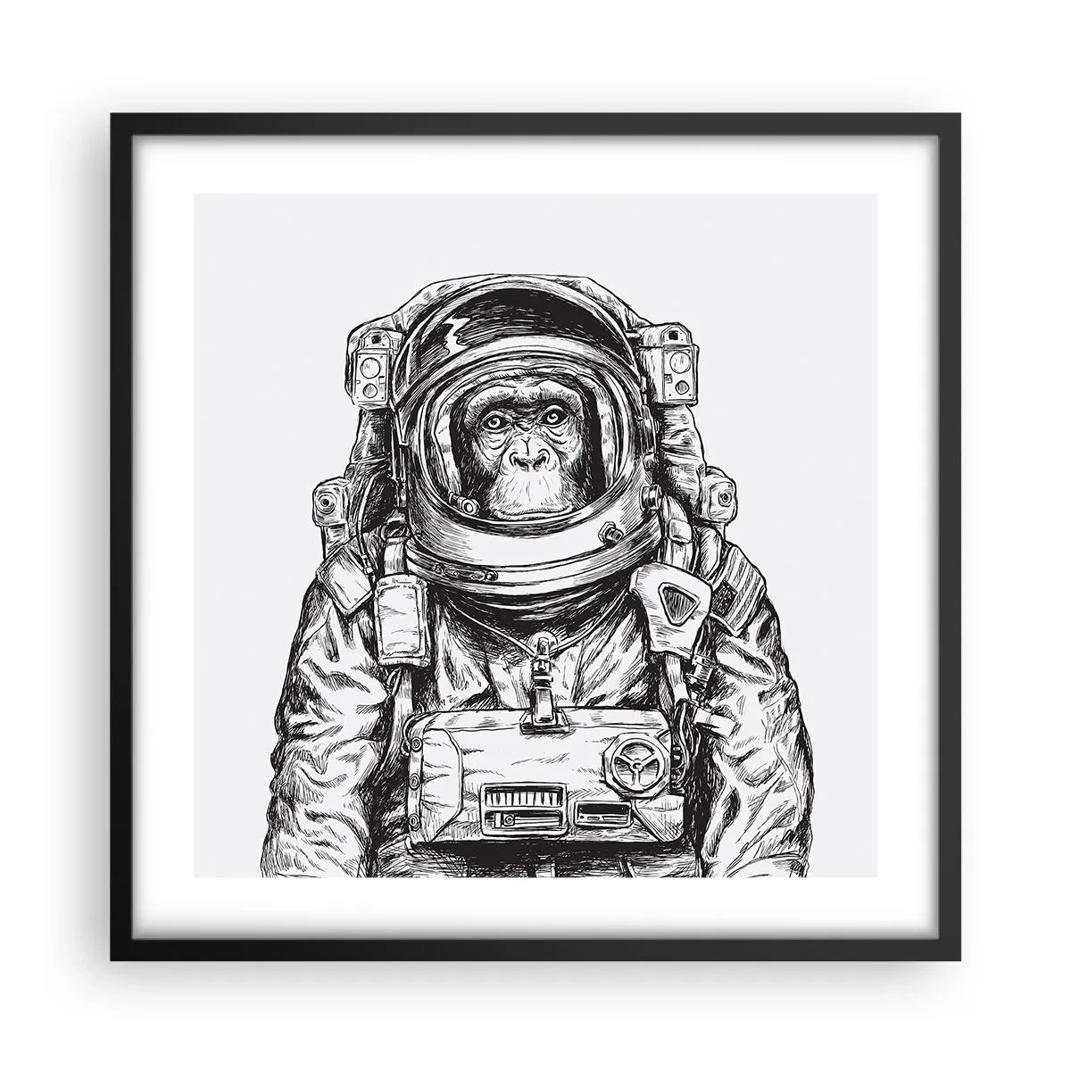 Plakat i sort ramme - Alternativ evolution - 50x50 cm