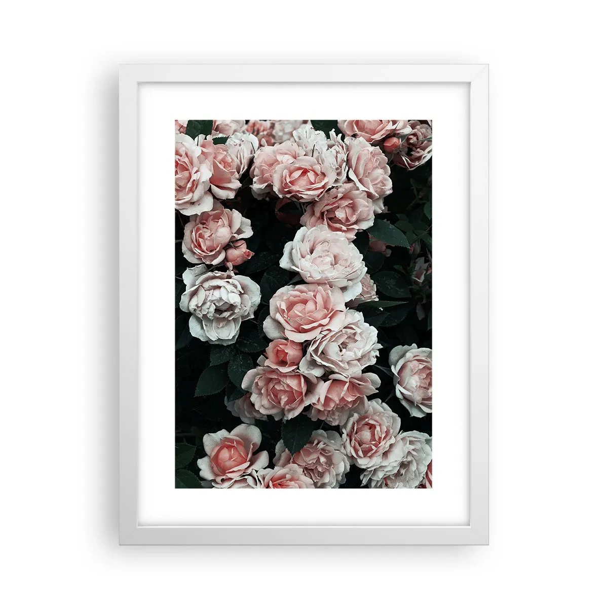 Plakat i hvid ramme - Lyserød ansamble - 30x40 cm