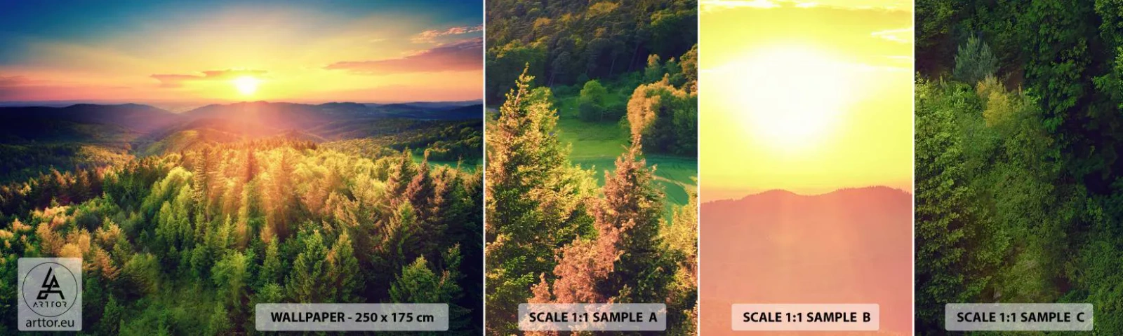 Fototapet Prøve Standard Eco - Toppe og bjergtoppe - Landskab, Skov, Bjerge - 100x30 cm