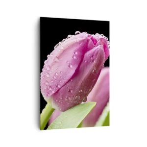 Lærredstryk - Billede på lærred - En lilla drøm i duggen - 70x100 cm