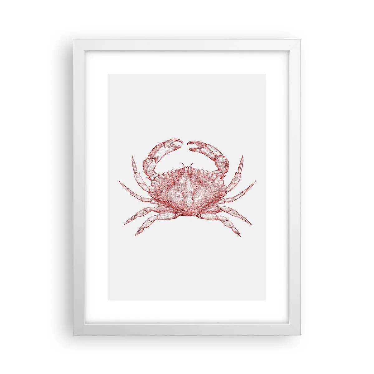 Plakat i hvid ramme - Krabbe over krabber - 30x40 cm