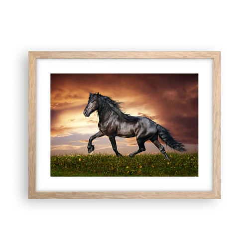 Plakat i ramme af lyst egetræ - Sort prins - 40x30 cm