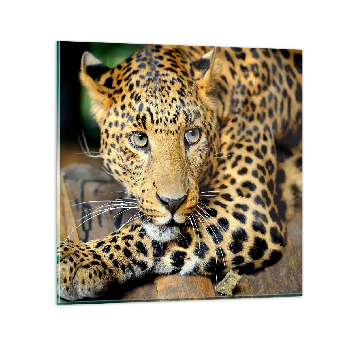 Billede på glas - Vær ikke bange, kom nu - 40x40 cm