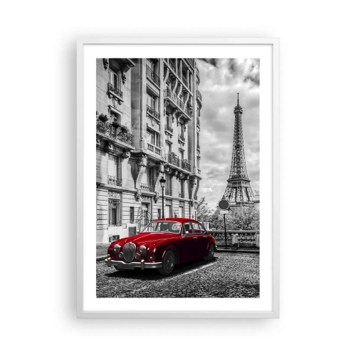 Plakat i hvid ramme - Rovdyr i byen - 50x70 cm