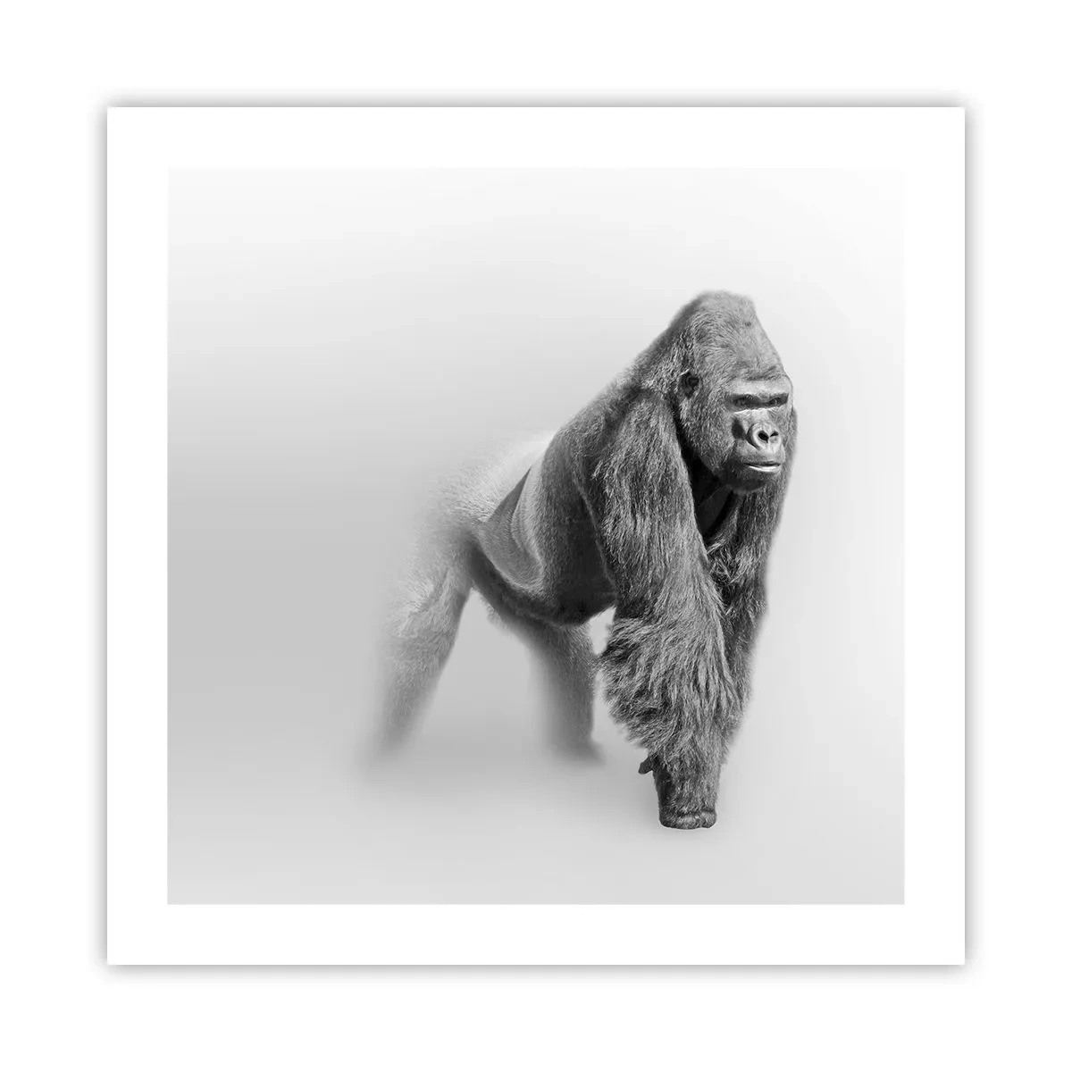 Plakat - Selvsikker på sin styrke - 50x50 cm