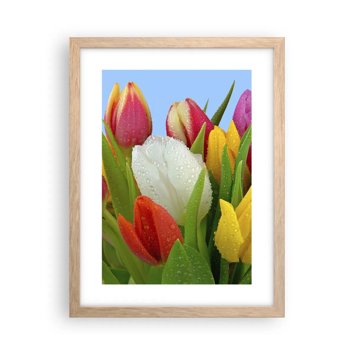 Plakat i ramme af lyst egetræ - En blomstret regnbue i dugdråber - 30x40 cm