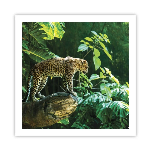 Plakat - Til jagt? - 60x60 cm