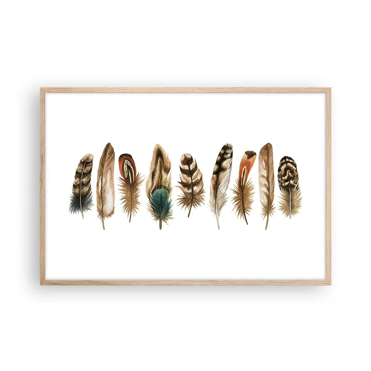 Plakat i ramme af lyst egetræ - Variation med fjer - 91x61 cm