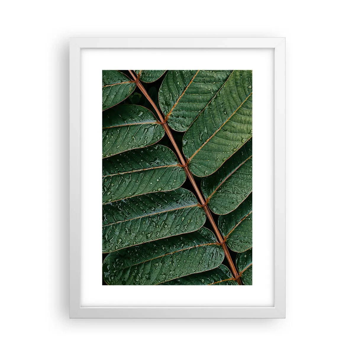 Plakat i hvid ramme - I en grøn rytme - 30x40 cm