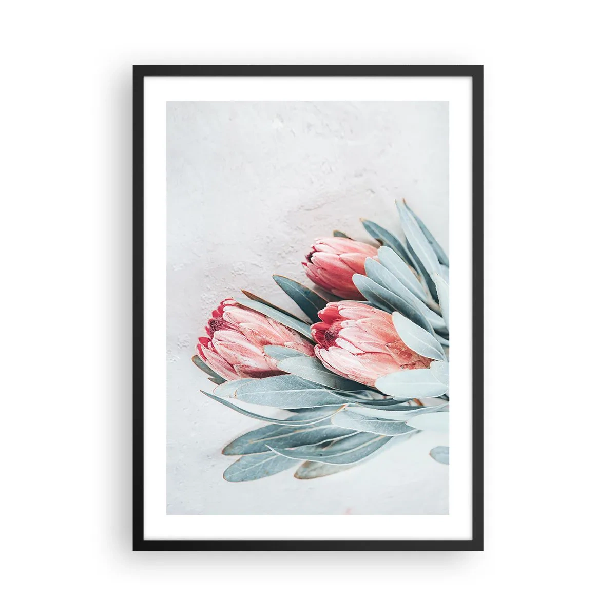 Plakat i sort ramme - En subtil komposition af proteablomster på en lys baggrund - 50x70cm - Skammer sig over deres egen skønhed - Moderne vægdekoration til stue og soveværelse ARTTOR