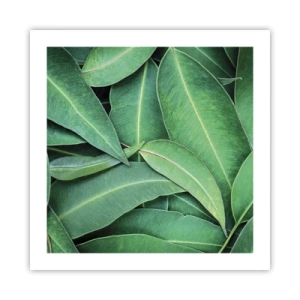 Plakat - Saftig og frisk - 50x50 cm