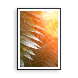 Plakat i sort ramme - Morgen i junglen - 70x100 cm