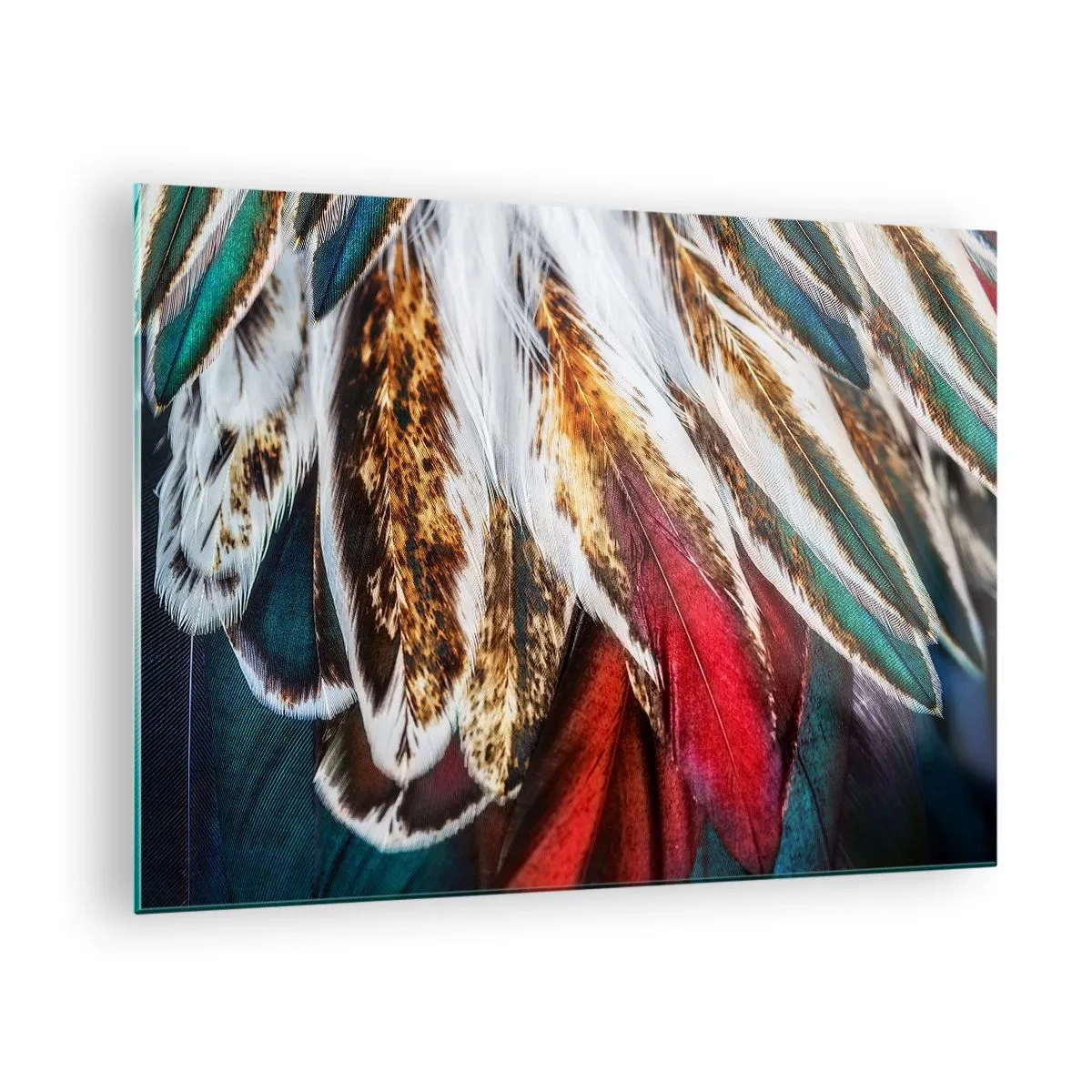 Billede på glas - Farverige fjer i en rig farvepalet med en distinkt tekstur - 70x50cm - Flyvningens hemmeligheder - Moderne vægdekoration til stue og soveværelse ARTTOR