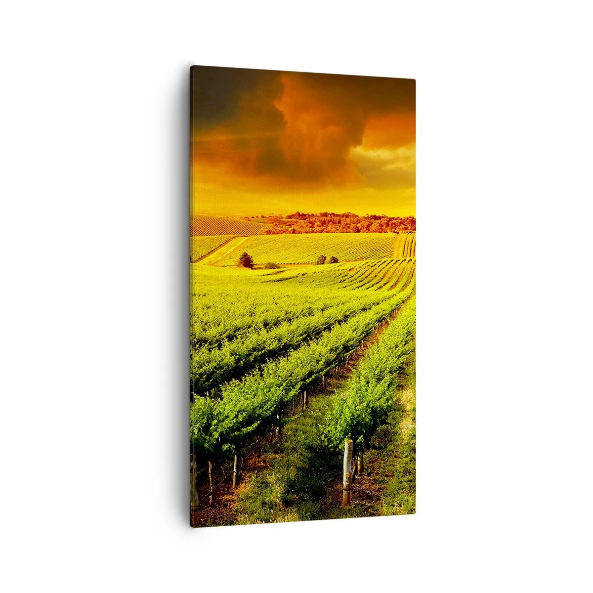 Lærredstryk - Billede på lærred - Under den australske sol - 55x100 cm