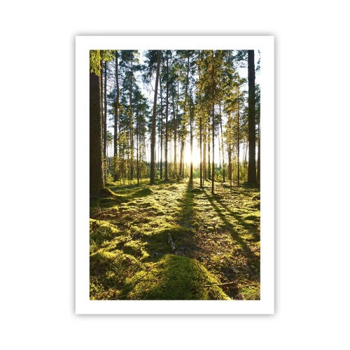 Plakat - ...Bag de syv skove - 50x70 cm