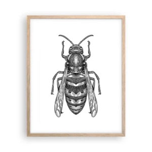 Plakat i ramme af lyst egetræ - Fra en insektplanet - 40x50 cm