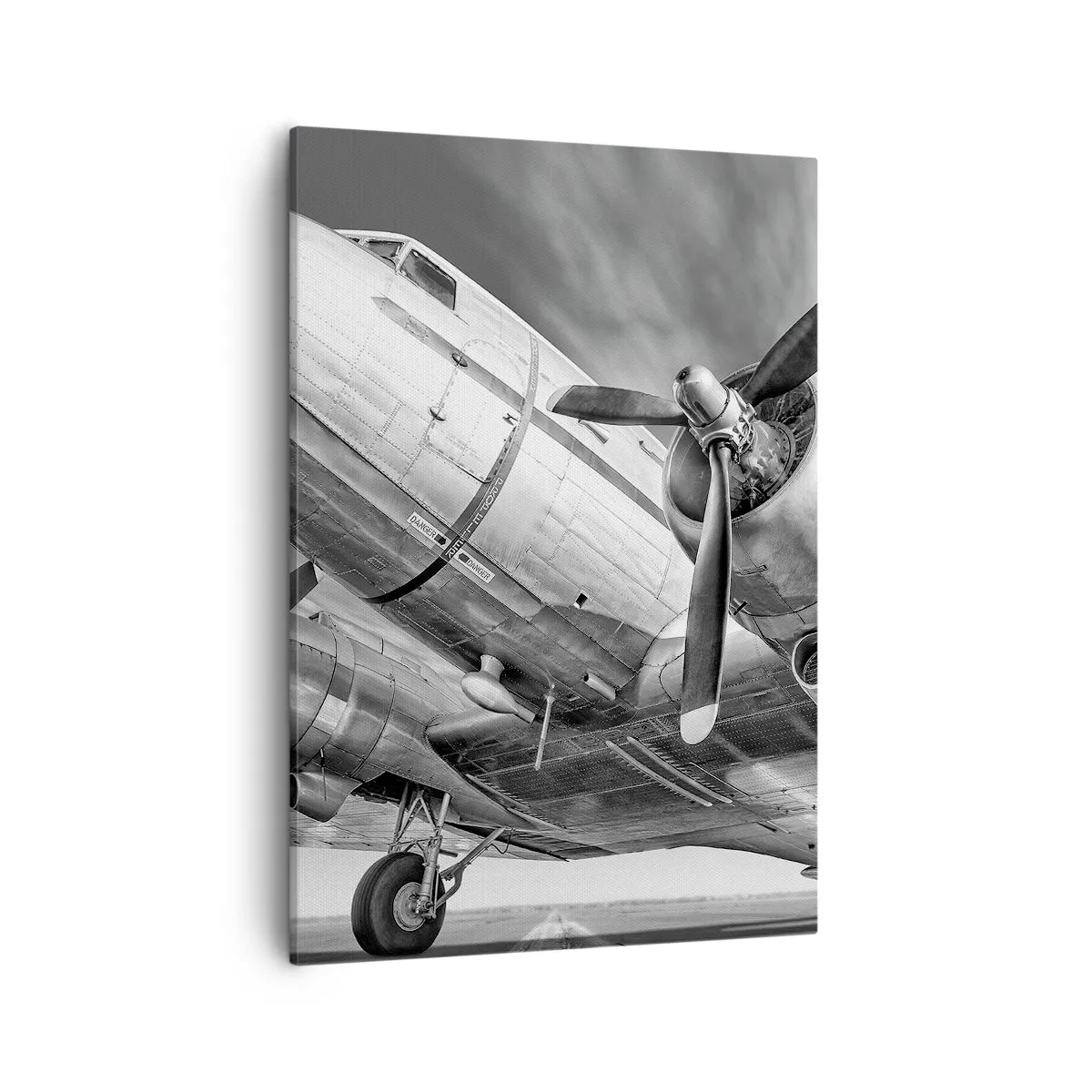 Lærredstryk - Billede på lærred - Altid klar til at flyve - 50x70 cm