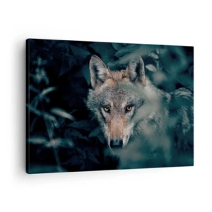 Lærredstryk - Billede på lærred - En ulv i sine naturlige omgivelser, der kigger ud fra skovens dyb. - 70x50cm - Jæger - Moderne vægdekoration til stue og soveværelse ARTTOR