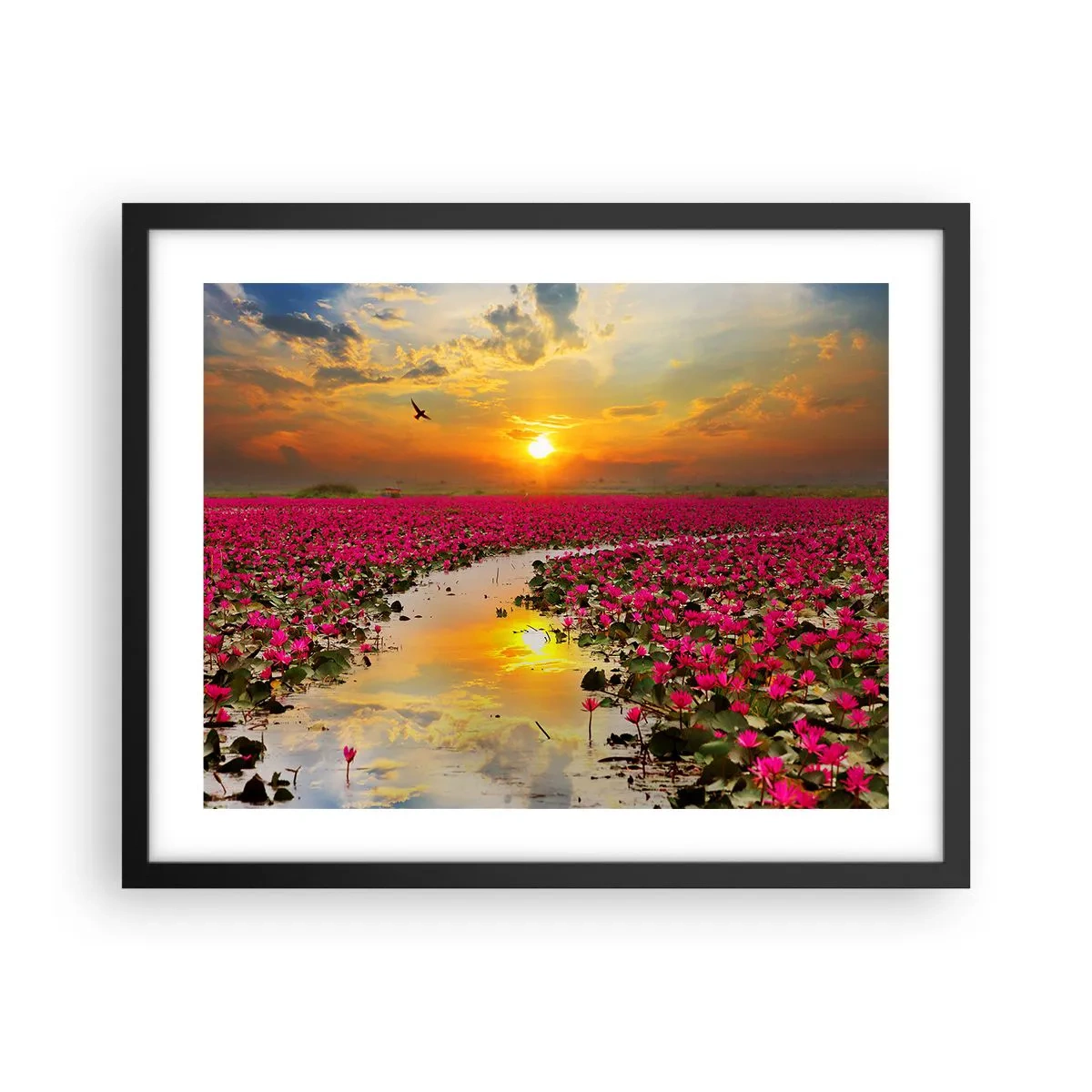 Plakat i sort ramme - Søens hemmelige liv - 50x40 cm