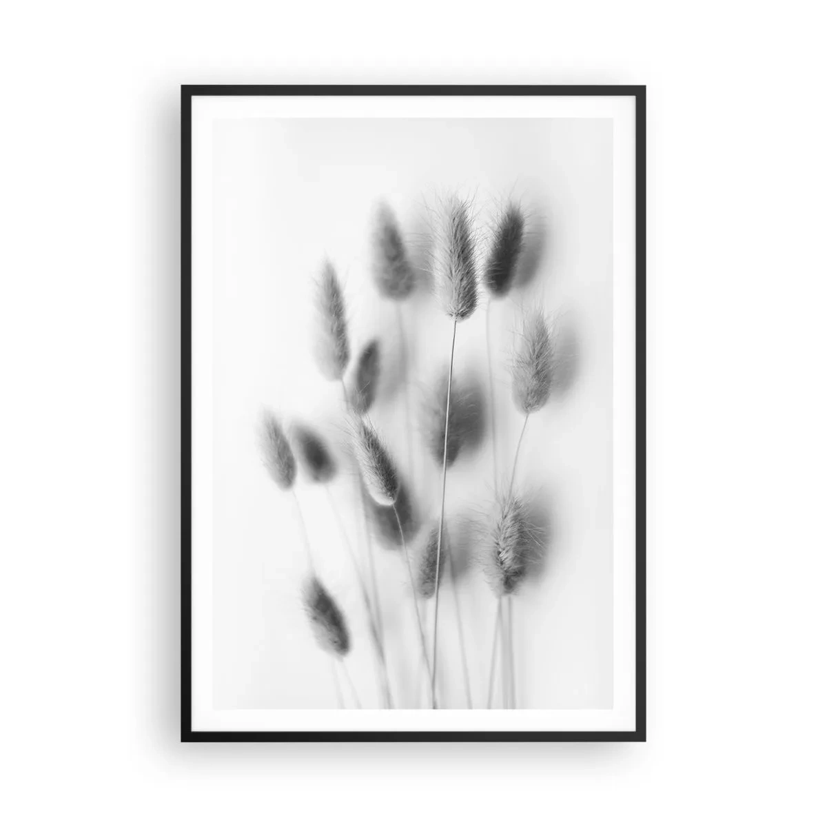 Plakat i sort ramme - Dens bløde græs - 70x100 cm