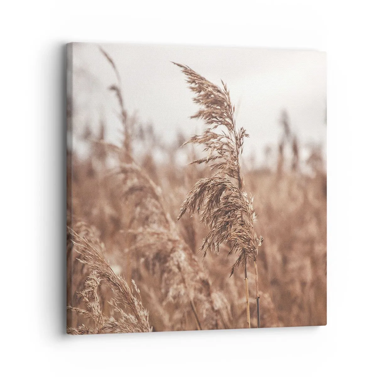 Lærredstryk - Billede på lærred - Efteråret er allerede på markerne - 30x30 cm