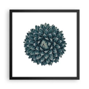 Plakat i sort ramme - Ørkenstjerne - 40x40 cm