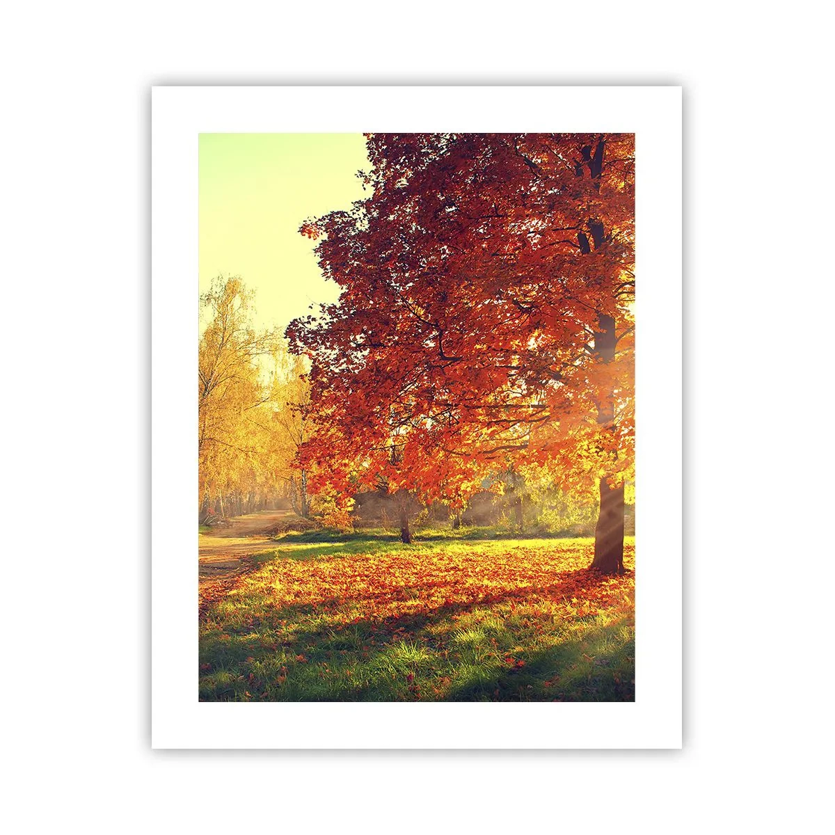 Plakat - Rød er smuk - 40x50 cm