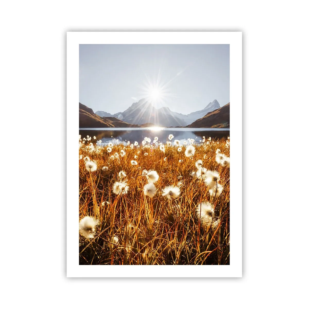 Plakat - Hårdhed af sten, blødhed af græs - 50x70 cm