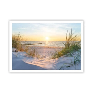 Plakat - Havet brummer, fuglene synger, en vild strand midt i græsset.... - 100x70 cm