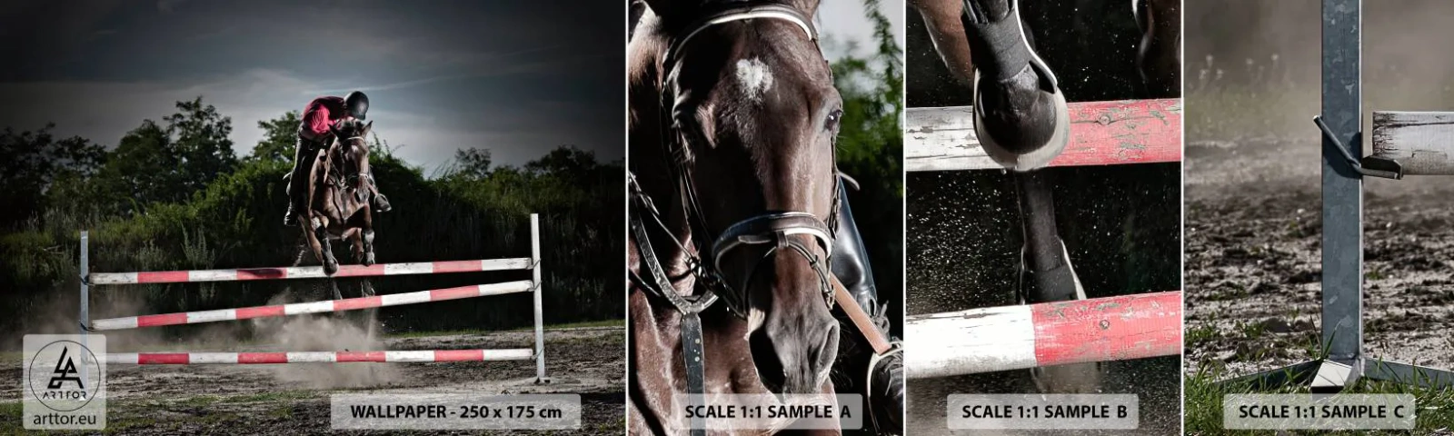 Fototapet Prøve Standard Eco - Sammen om sejren - Dyr, Hest, Sport - 100x30 cm